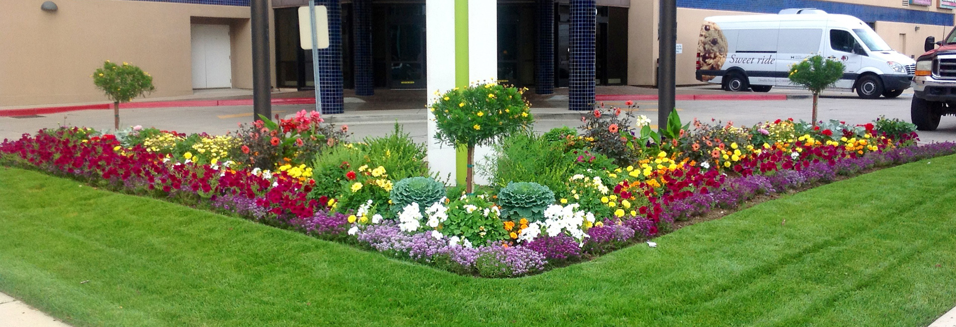 Commercial Landscaping ServicesProfessional | Reliable | Experienced